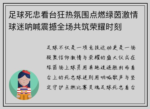 足球死忠看台狂热氛围点燃绿茵激情球迷呐喊震撼全场共筑荣耀时刻